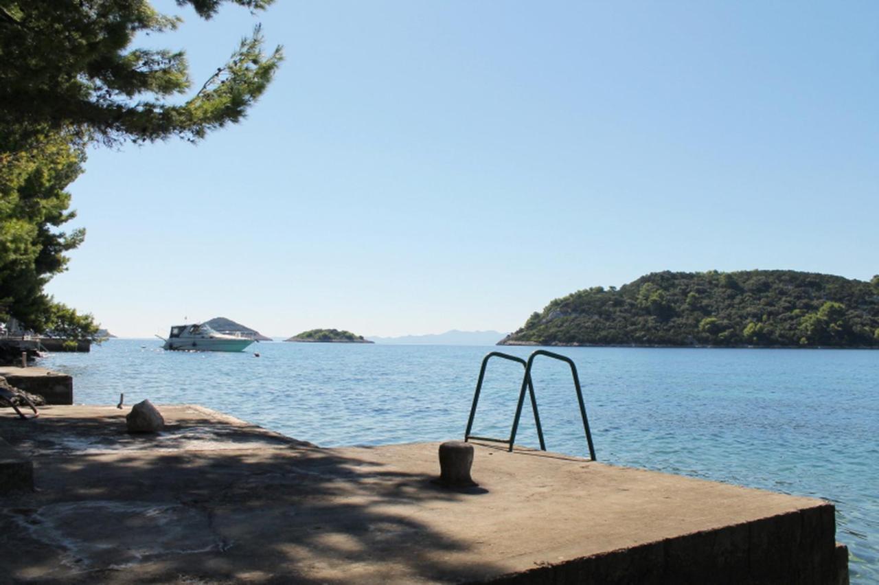 Panoramic Anic *