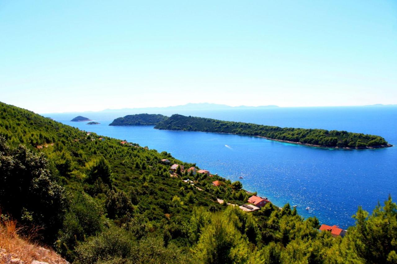 Apartmán Panoramic Anic Blato (Korcula)