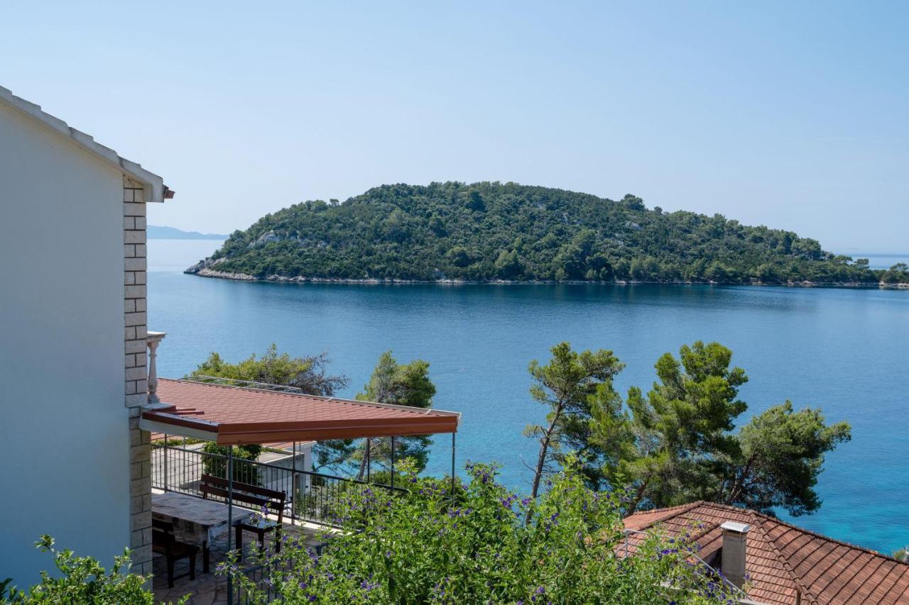 Panoramic Anic *